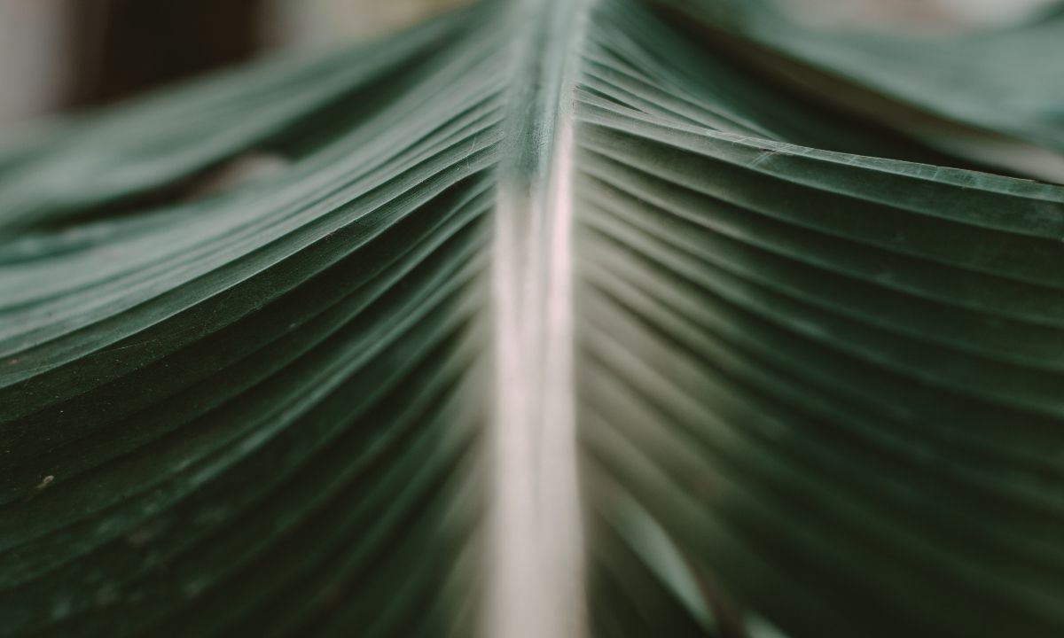 BODYFUL · Nicole Philipp - (2)